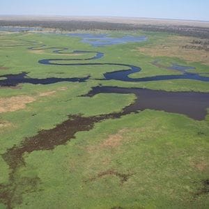 Huge Murray-Darling wetland saved by $55M sale to conservationists Huge Murray-Darling wetland saved by $55M sale to conservationists